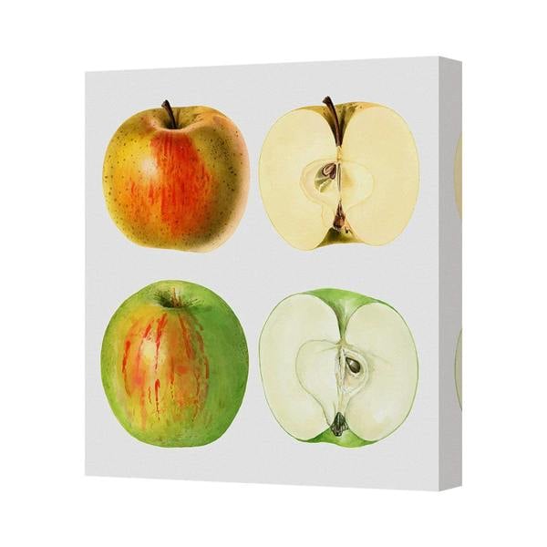 Benjamin Tate Design Contemporary Apple Canvas Wall Art Print Handmade In The UK Framed