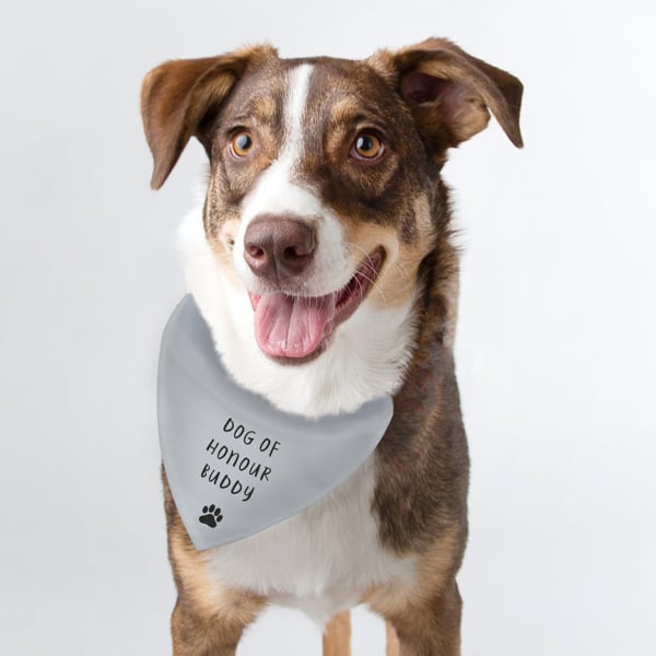 Personalised Memento Company Personalised Grey Dog Bandana