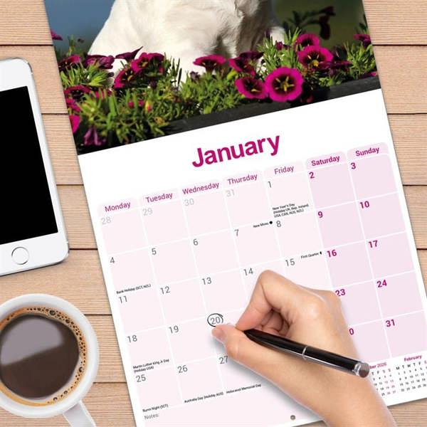Bull Terrier Calendar 2027, Wall Calendars, Month To View, Dogs, Gift