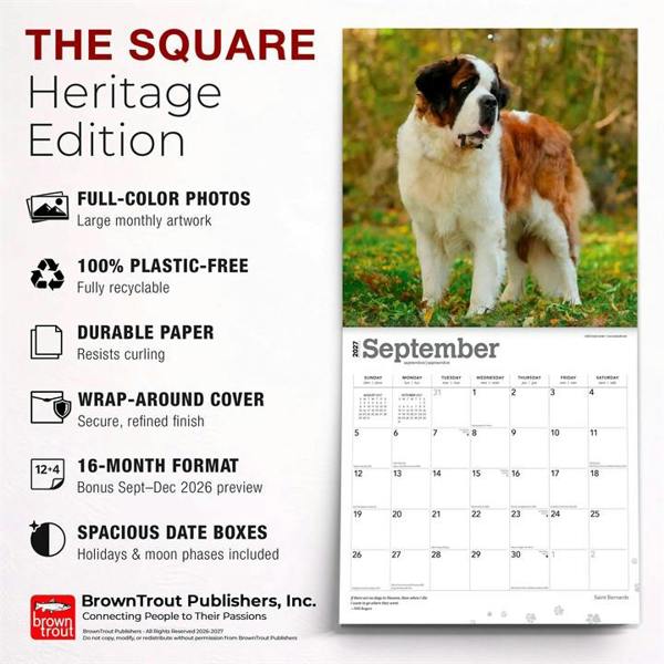 Saint Bernards Calendar 2027, Wall Calendars, Month To View, Dogs, Gift