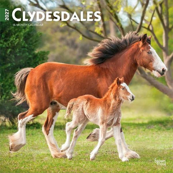 Clydesdales Calendar 2027, Wall Calendars, Month To View, Animals, Gift