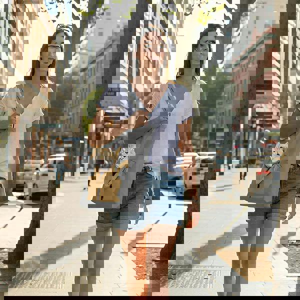 Anywags Anypet Cat Handbag Gray Soft Collar Pets Carrier Luggage Small Dog Travel Tote Bag With Safety Zippers