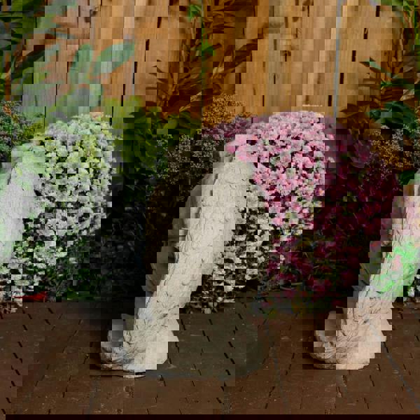 Medium Greek style Male Stone Cast Statue Icarus 