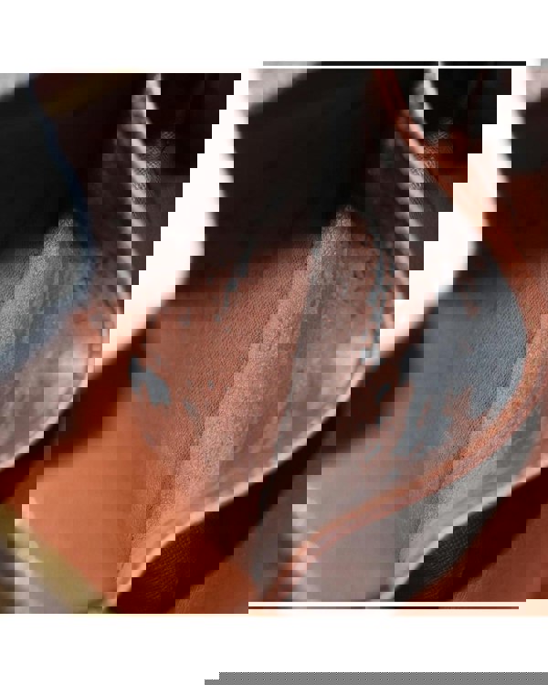 193963953.jpg