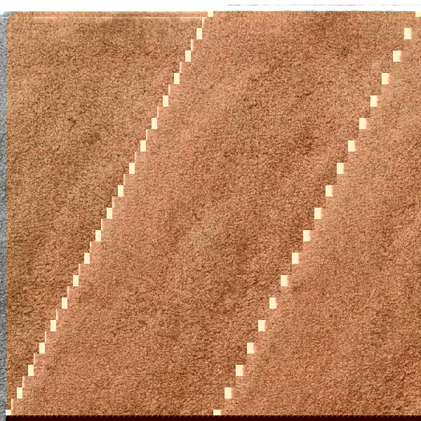 Asiatic Opulence Shaggy Terra Rug