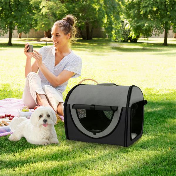 Pet Carrier Bag