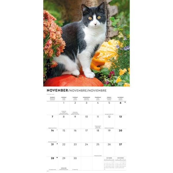 Tuxedo Cats Calendar 2027, Wall Calendars, Month To View, Cats, Gift