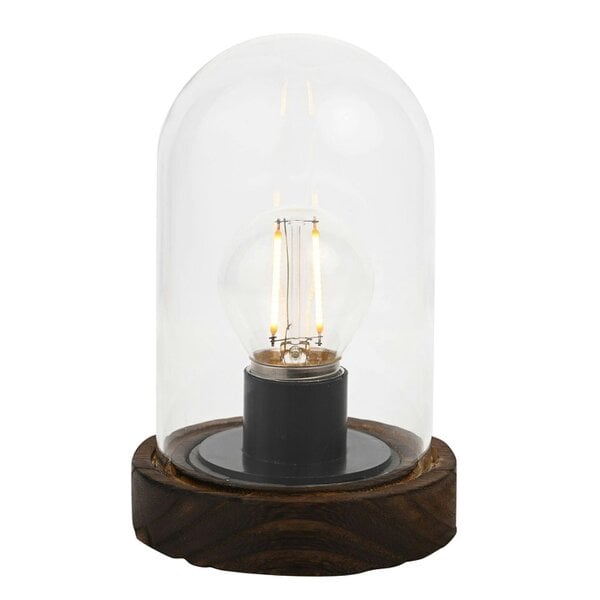 Hestia LED Light Up Glass Dome with Bulb  - Small