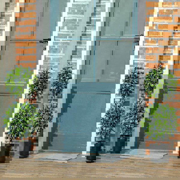 Artificial Pruned Plants