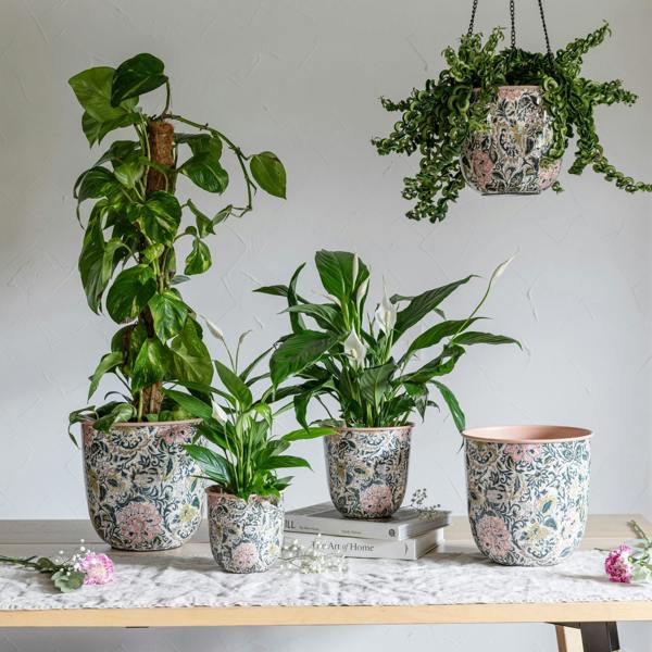 Ivyline Maisie Vintage Metal Watering Can