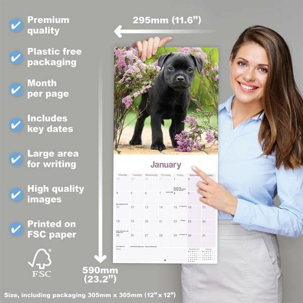 Staffordshire Bull Terrier Puppies Calendar 2027, Wall Calendars, Month To View, Dogs, Gift