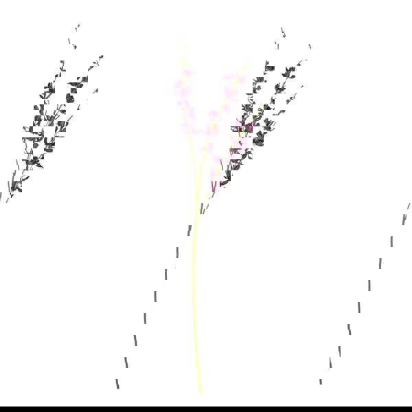 Hill Interiors Cymbidium Spray Artificial Flower - Purple - 