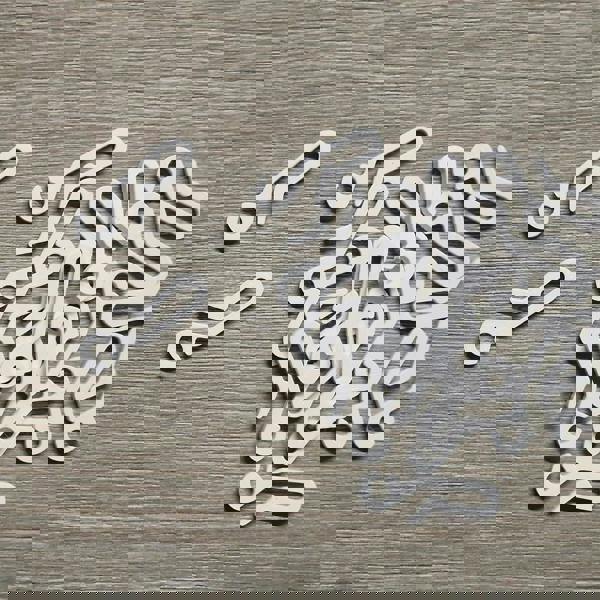 Shower Curtain Hooks