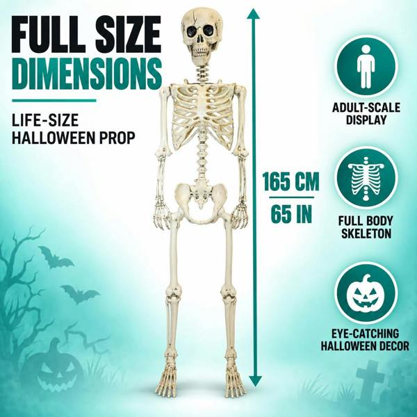 Halloween Life Size Poseable Skeleton Prop 165cm - Realistic Human Skeleton Decoration image 6