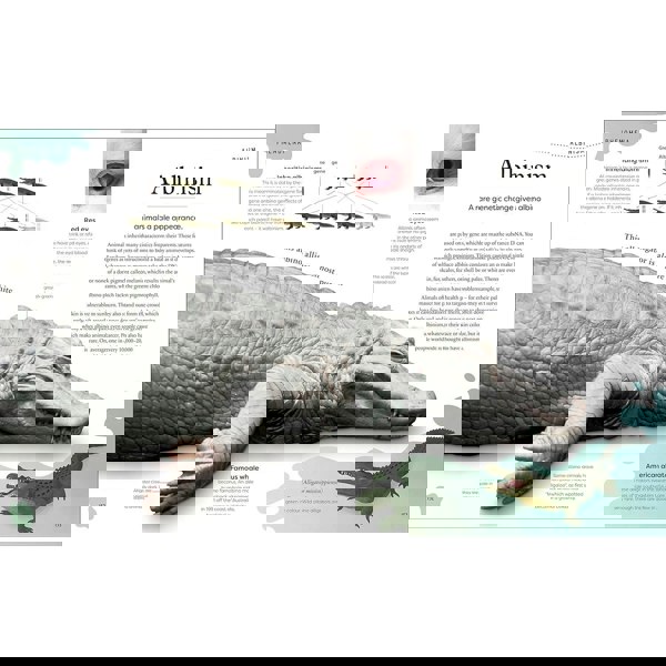 Weird and Wonderful Nature: Tales of More Than 100 Unique Animals, Plants, and Phenomena (DK Treasures)