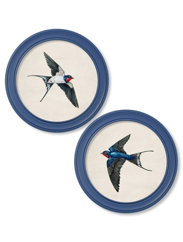 Exceptional Art c.1875 Swallows in Round Frames Blue