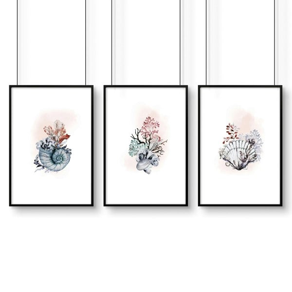 Home office print | set of 3 Seashells wall art prints