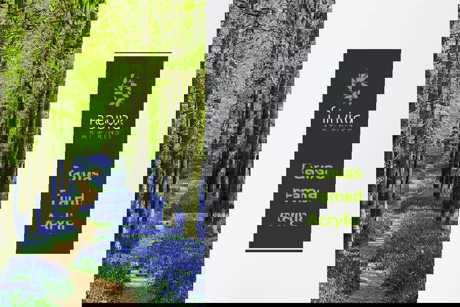 Fernlight Gallery Bluebell Walk