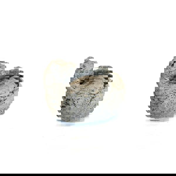 Small Brontosaurus Stone Cast Garden Sculpture Dinosaur Animal Statue