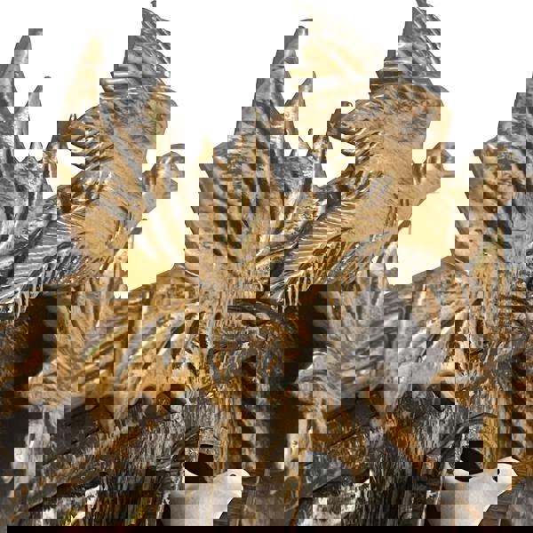 WALPLUS WC2053 - Brown Vintage Cuckoo Clock