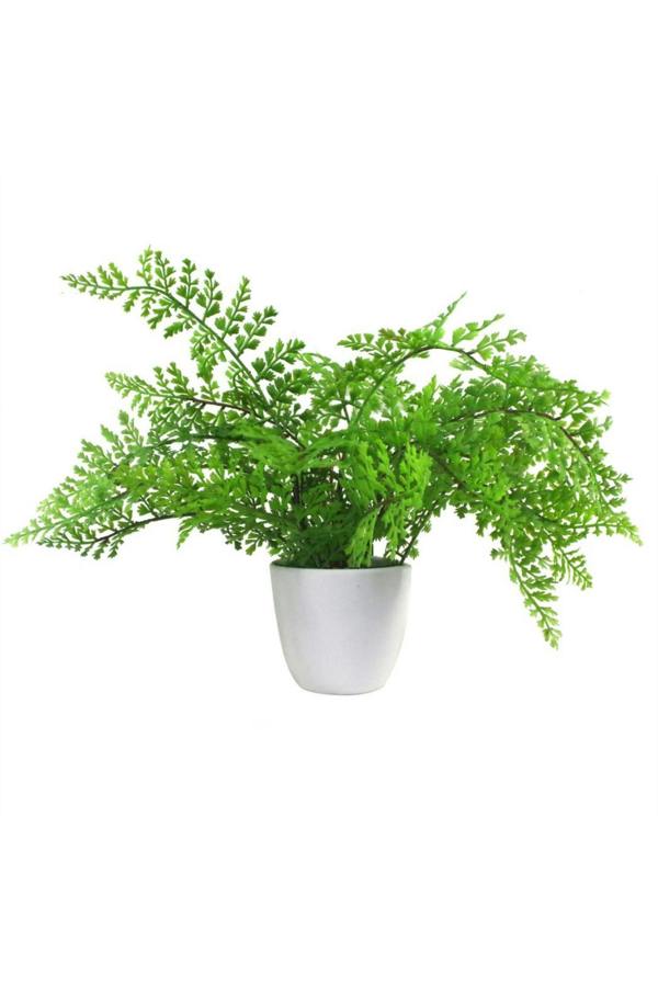 Dyzi 30cm Forest Fern Artificial Plant in Weighted Pot