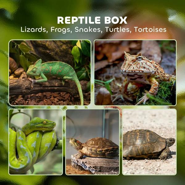 Black reptile box with clear glass enclosure and vented front opening for small animals