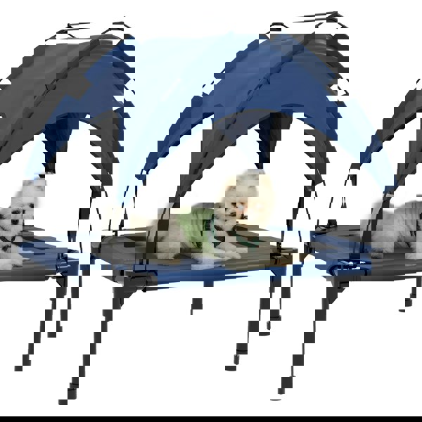 D04-272V01DB