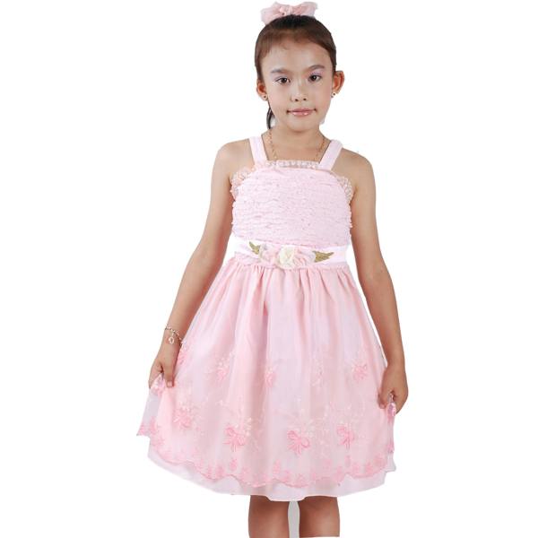 Cinda Embroidered Floral Party Dress