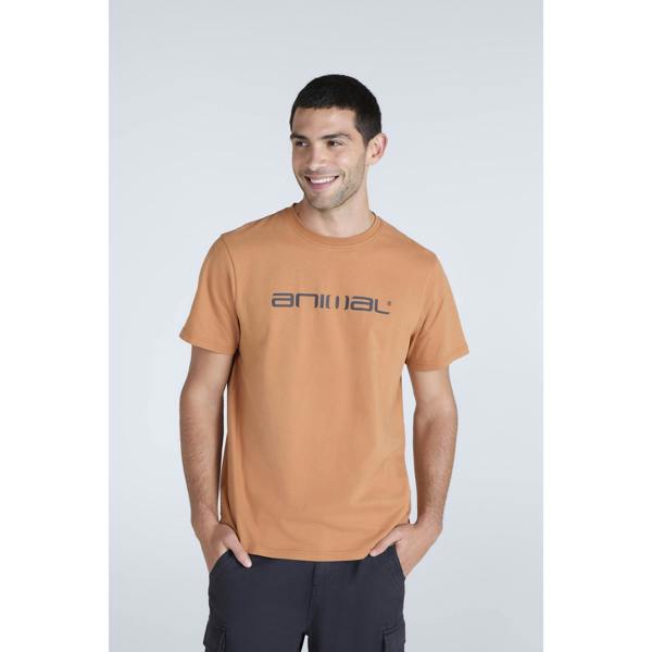 Animal Mens Leon Organic Relaxed Fit T-Shirt - Rust - 