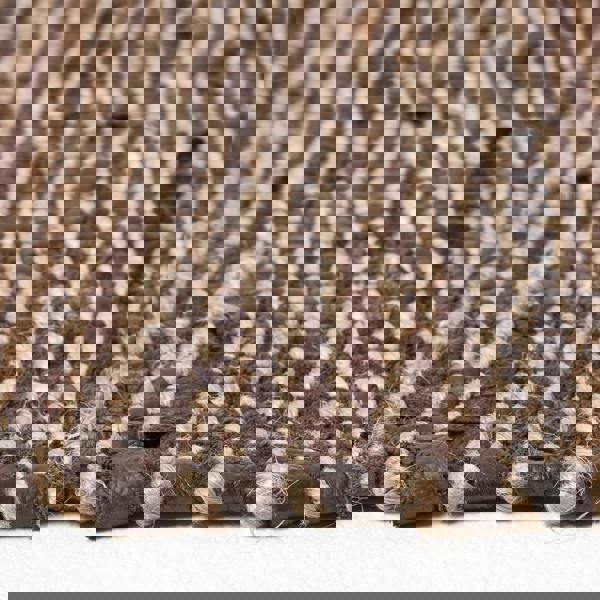 HOMESCAPES Madras Leather Hemp Rug