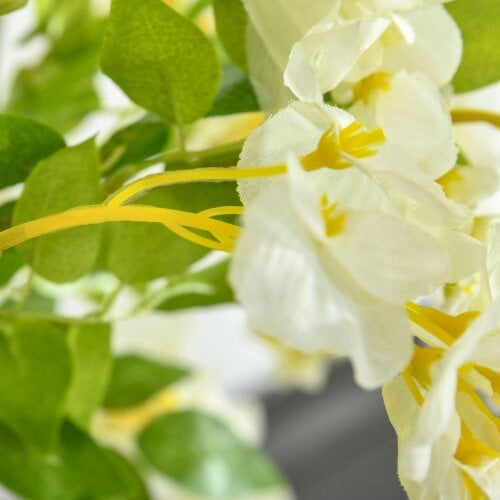 Wyld Haus Kalone Artificial White Wisteria Style Tree Supplied In Nursery Pot