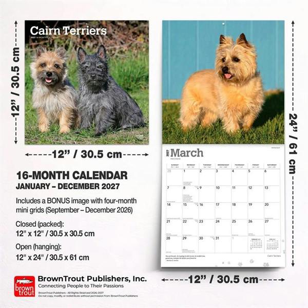 Cairn Terriers Calendar 2027, Wall Calendars, Month To View, Dogs, Gift
