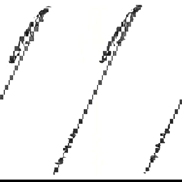 Mountain Warehouse Storr Trekking Pole - Jet Black