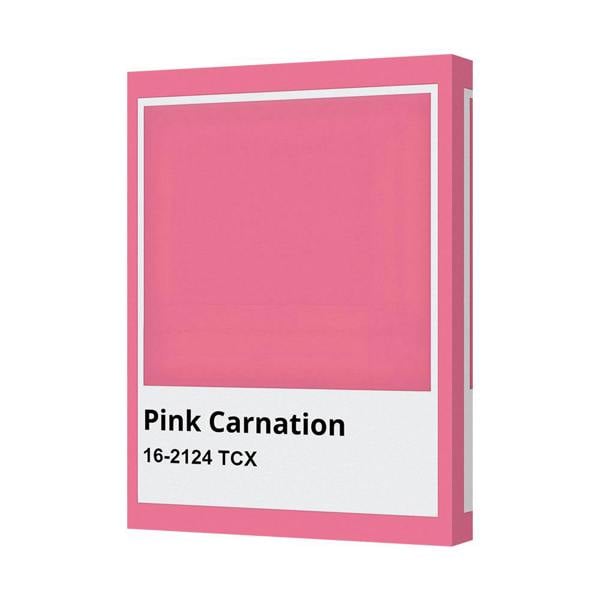 Benjamin Tate Design Pink Carnation Canvas Print 16 2124 TCX Modern Wall Art UK Handmade