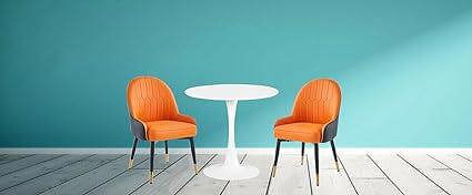 HYGRAD Modern Leather Dining Chairs PU Leather Padded Dining Chairs Set Of 2 Multi Coloured Ergonomic Soft Leather Chairs Office Home Restaurant