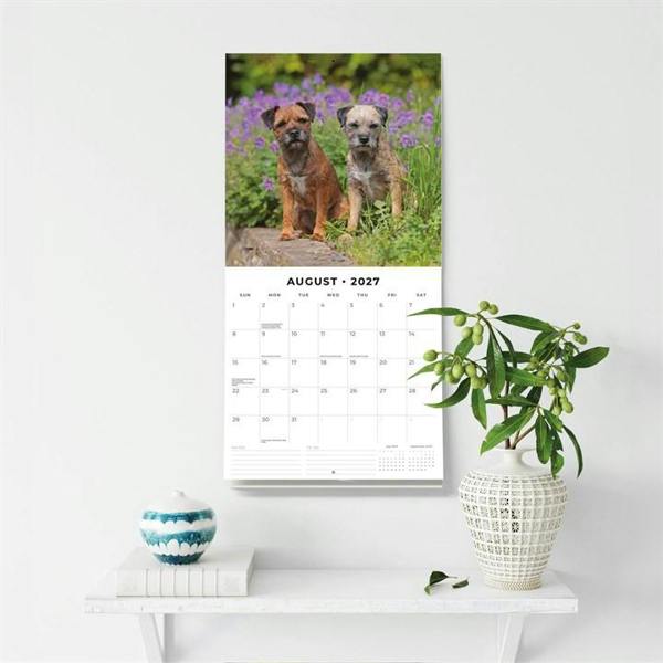 Border Terriers Calendar 2027, Wall Calendars, Month To View, Dogs, Gift
