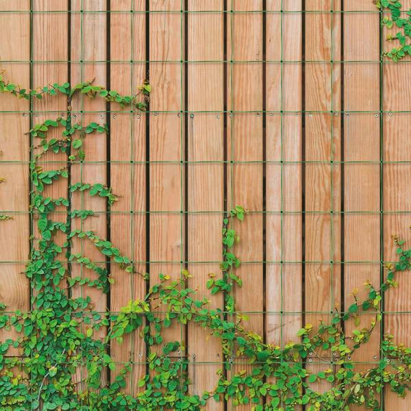 Scotts of Stow Garden Netting