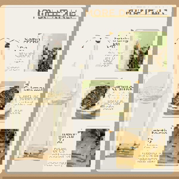 D30-586V00BG