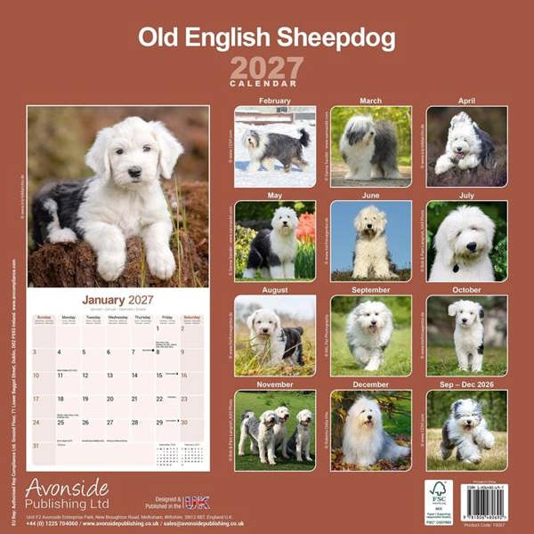 Old English Sheepdog Calendar 2027, Wall Calendars, Month To View, Dogs, Gift