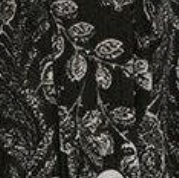 Izabel London Floral Short Sleeve Tie Shirt Midi Dress