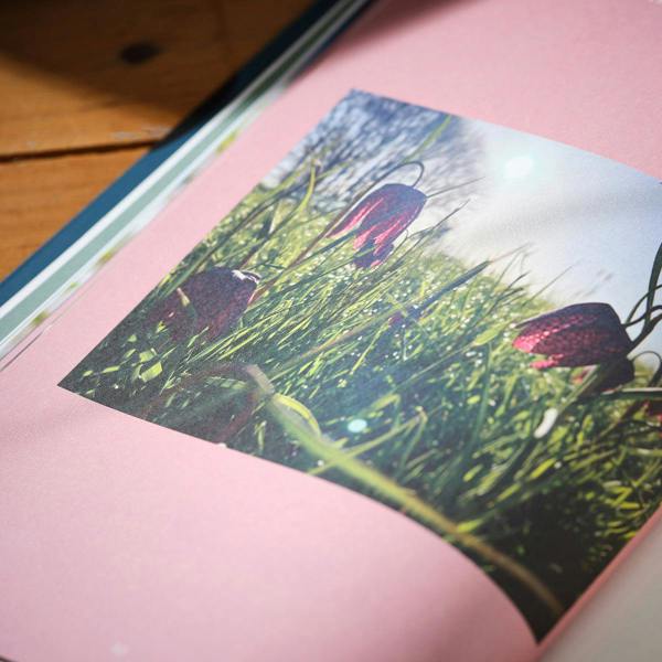 Genus Gardenwear A Year in a Cottage Garden