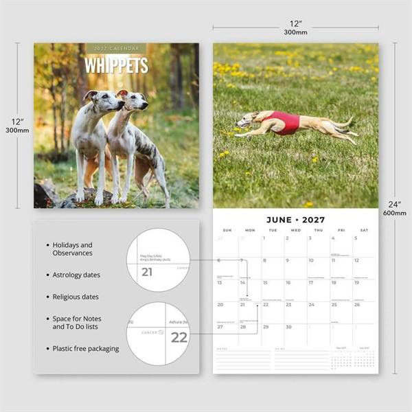 Whippets Calendar 2027, Wall Calendars, Month To View, Dogs, Gift