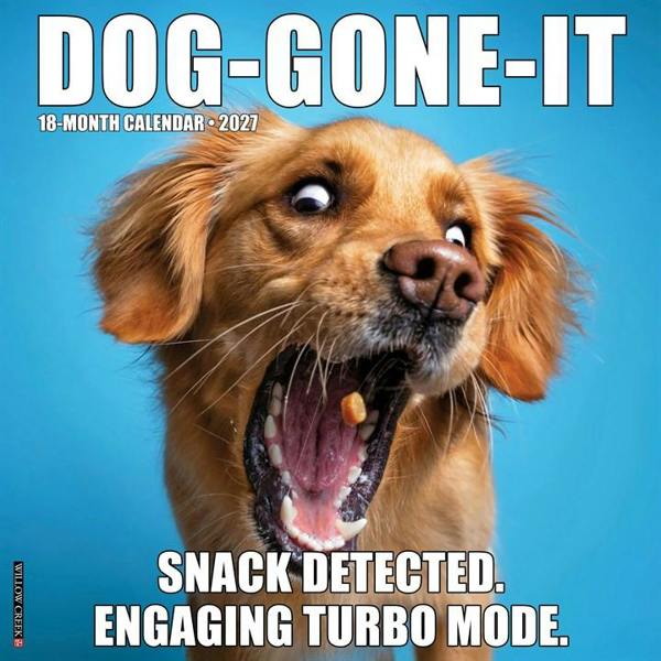 Dog Gone It Calendar 2027, Wall Calendars, Month To View, Dogs, Gift