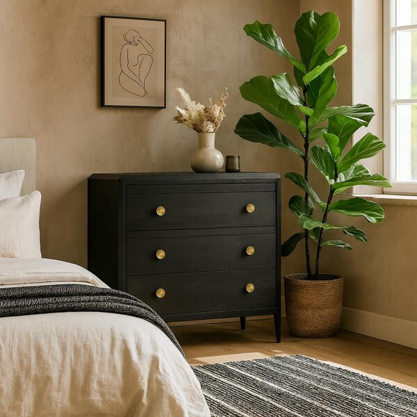 Wyld Haus Verona Black Oak and Brass Three Drawer Chest