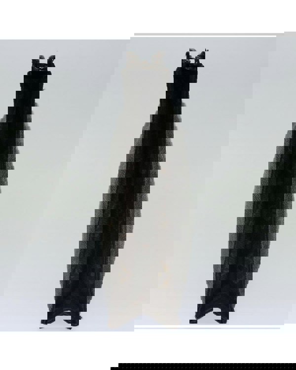 168286660.jpg