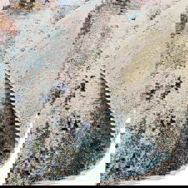 Asiatic Nova NV22 Mustard Multi Rug