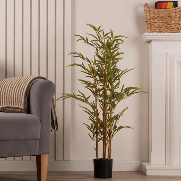 Scottish Everlastings 90Cm Bamboo Tree