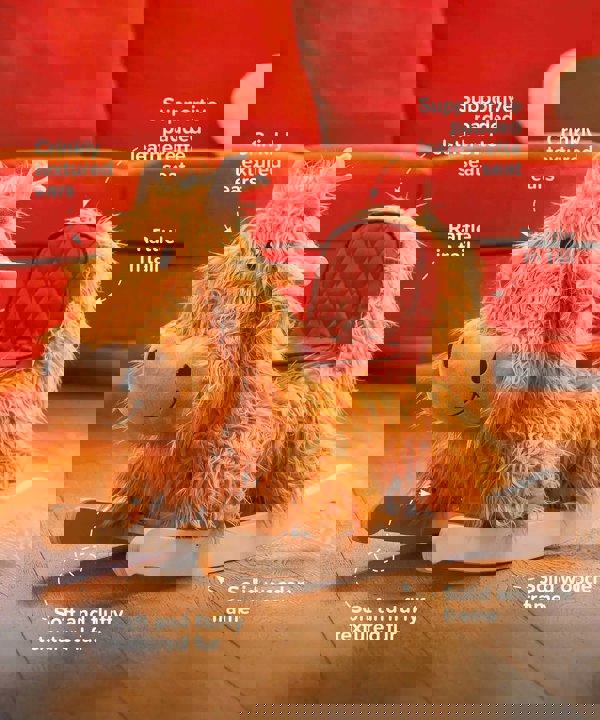 Little Bird Told Me Hubert Rocking Highland Cow