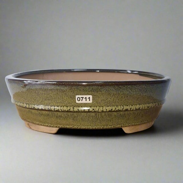 26cm Glazed Bonsai Pot | Oval | 26cm x 20cm x 8cm | Green - Yorkshire Bonsai
