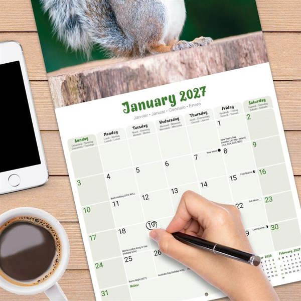Squirrels Calendar 2027, Wall Calendars, Month To View, Animals, Gift